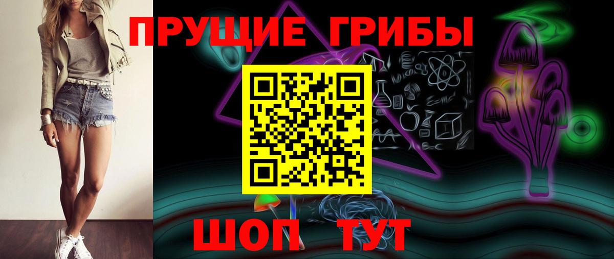 Псилоцибиновые грибы Psilocybe Усолье-Сибирское