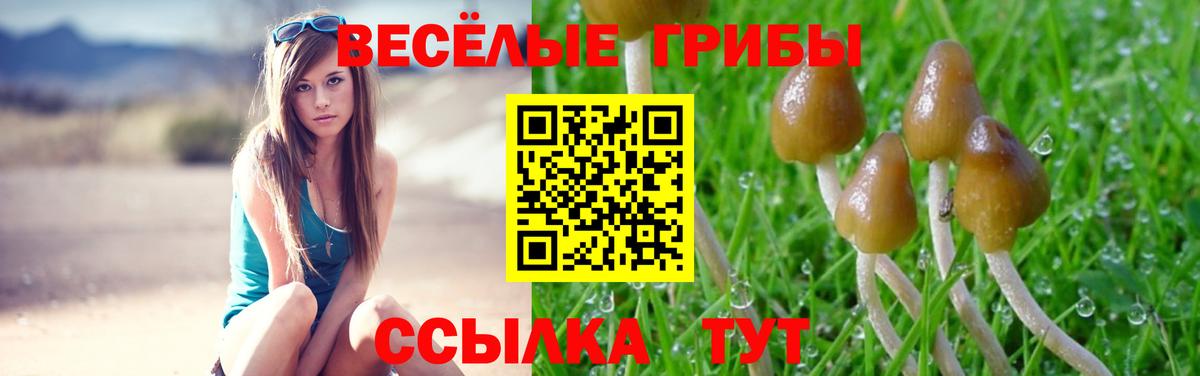 Псилоцибиновые грибы Psilocybine cubensis  Вход с VPN  Усолье-Сибирское  Псилоцибиновые грибы мицелий 